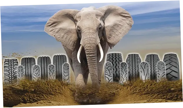 Gajah Tunggal Raih Laba Bersih Rp 1,24 Triliun pada 2025