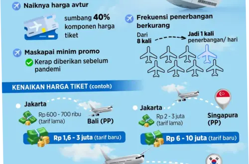 Harga Tiket Pesawat Melambung, Apa yang Harus Dilakukan?