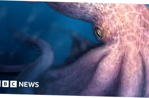 Mengenal Nanaimoteuthis, Gurita Raksasa Penguasa Laut Zaman Dinosaurus