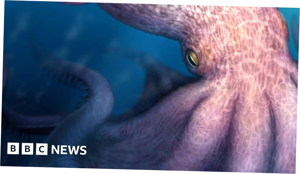 Mengenal Nanaimoteuthis, Gurita Raksasa Penguasa Laut Zaman Dinosaurus