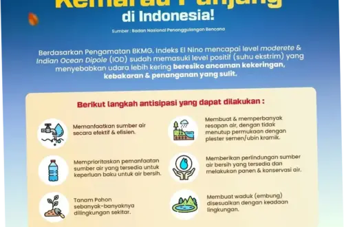 Menghadapi Musim Kemarau Panjang: Upaya Pemerintah dan Masyarakat