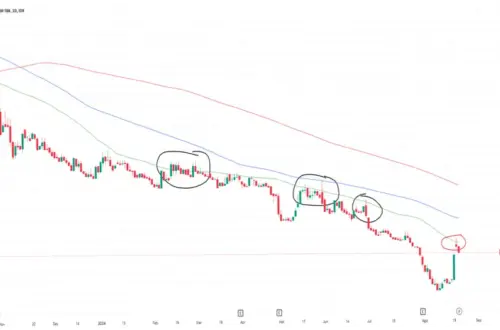 Saham Gudang Garam: Antara Peningkatan dan Penurunan