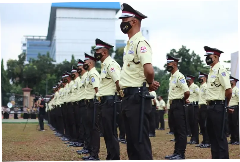 Satuan Tugas: Mengenal Peran dan Fungsi dalam Berbagai Sektor