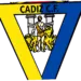 Cadiz CF: Dari Frustrasi hingga Mencari Promosi