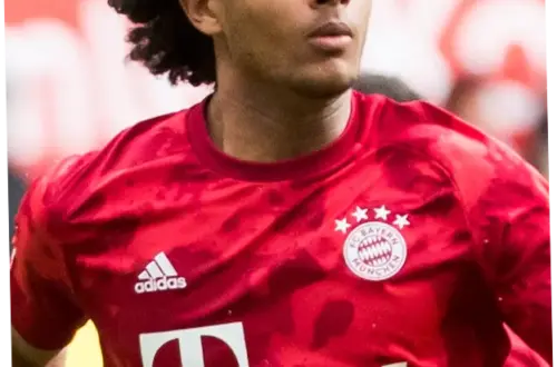 Joshua Zirkzee: Pemain Muda yang Siap Menggebrak Dunia Sepakbola