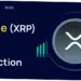 Masa Depan XRP Ledger: Prediksi, Inovasi, dan Tantangan