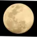 Mengenal Fenomena Flower Moon: Waktu Terbaik dan Tips Melihatnya