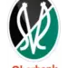 SV Ried Menjadi Sorotan di Play-off Bundesliga