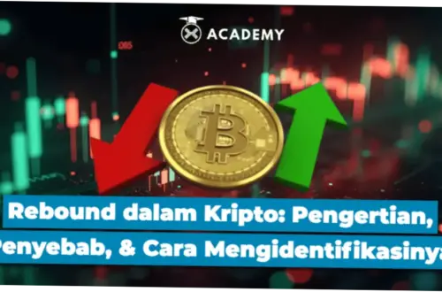 Bitcoin Rebound: Apa yang Membuat Harga BTC Naik Turun?