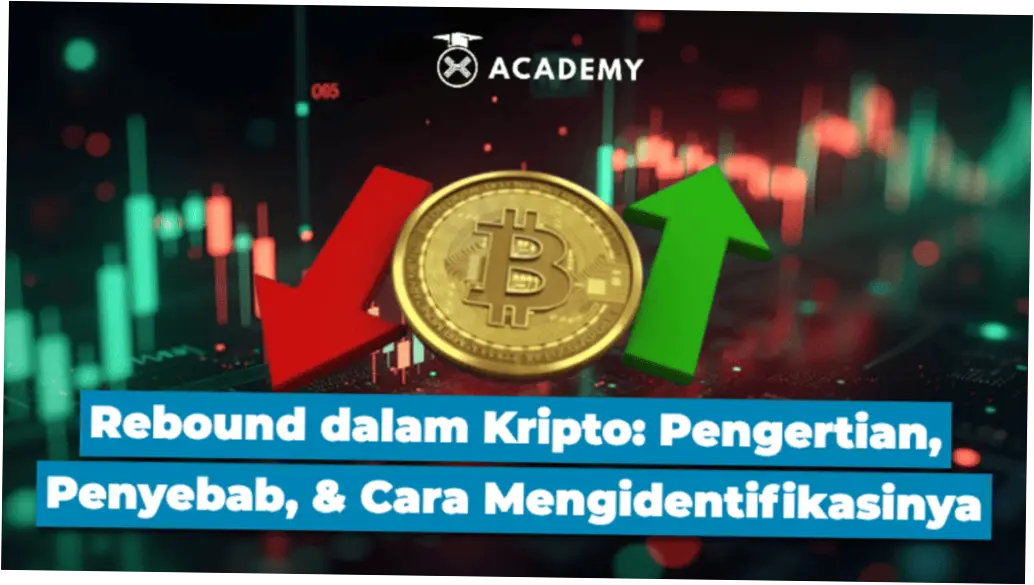Bitcoin Rebound: Apa yang Membuat Harga BTC Naik Turun?