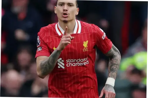 Darwin Nunez: Antara Liverpool dan Al Hilal, Apa yang Menjadi Pilihan?