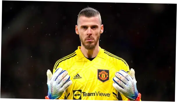 David de Gea: Antara Manchester United dan Spekulasi Pindah