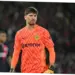 Gregor Kobel: Kiper yang Curi Perhatian Global