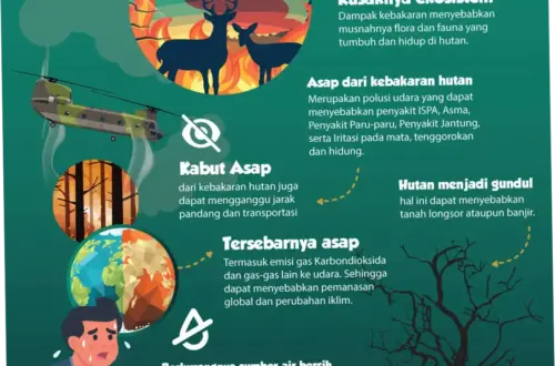 Kebakaran di Indonesia: Dampak dan Upaya Penanganan