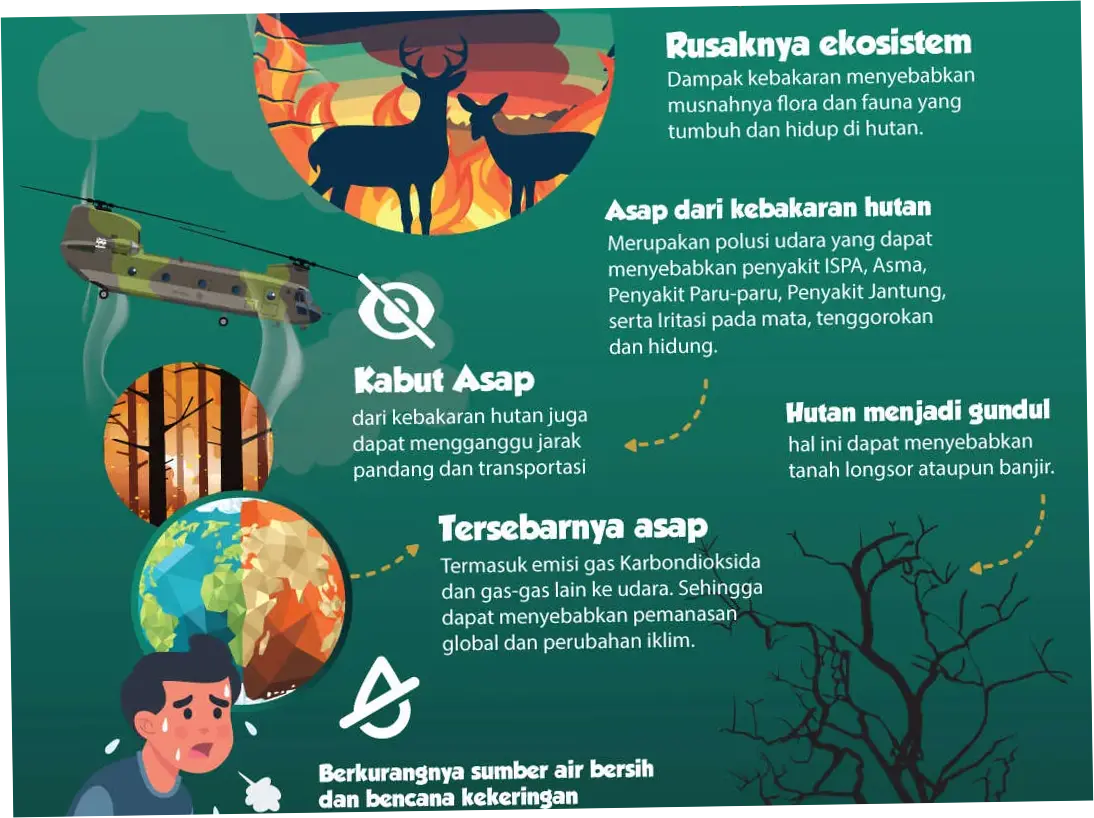 Kebakaran di Indonesia: Dampak dan Upaya Penanganan