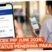 PIP Juni 2026: Cara Cek Penerima, Jadwal Penyaluran, dan Besaran Bantuan