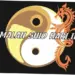 Ramalan Shio Hari Ini: Prediksi Zodiak Imlek untuk 12 Shio