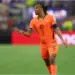Nathan Aké: Pertarungan Klub-klub Eropa untuk Merebut Pemain Belanda